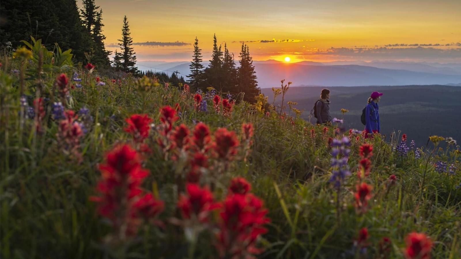 Soleil Chalet By Bear Country Sun Peaks Pokój zdjęcie
